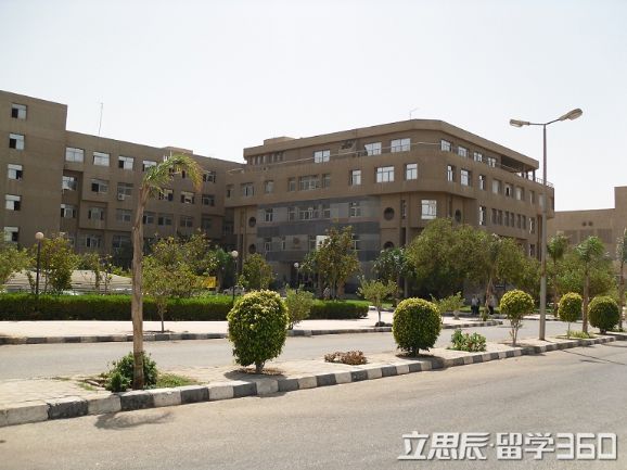 埃及阿勒旺大学与其他院校合作密切 埃及阿勒旺大学