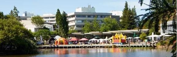 怀卡托大学