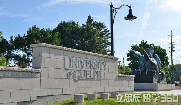 圭尔夫大学很水吗