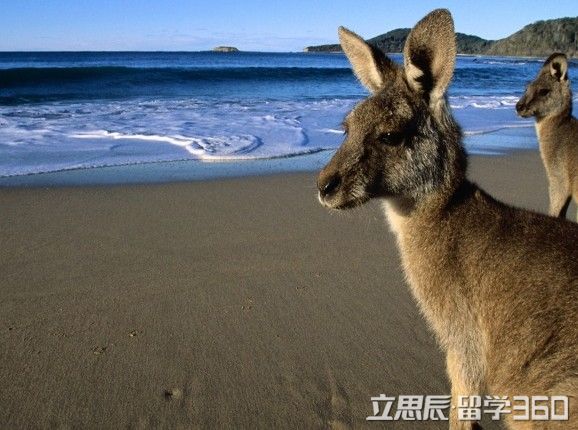 澳洲哪些费用不能抵扣税? 澳洲移民,澳洲抵扣税