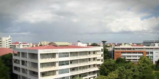 泰国艺术大学专业的种类多不多 2017年泰国艺术大学的专业课程有多少
