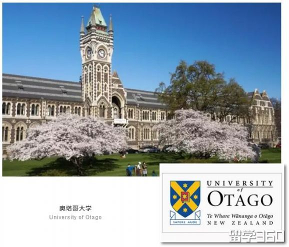 新西兰大学的哪些专业挺进了全球前100 新西兰大学的哪些专业挺进了全球前100
