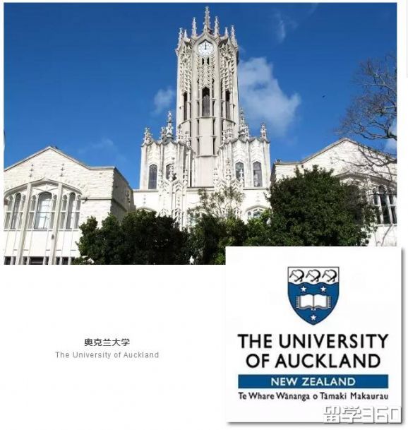 新西兰大学的哪些专业挺进了全球前100 新西兰大学的哪些专业挺进了全球前100