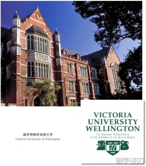 新西兰大学的哪些专业挺进了全球前100 新西兰大学的哪些专业挺进了全球前100