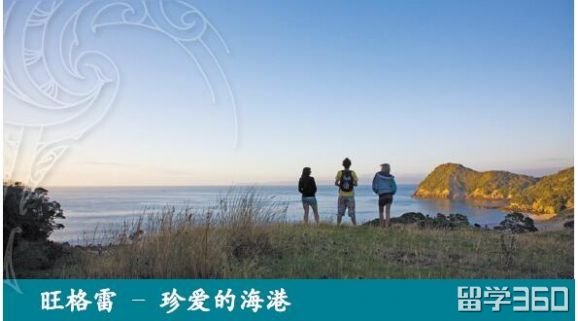新西兰留学北方理工学院 新西兰留学北方理工学院食宿条件