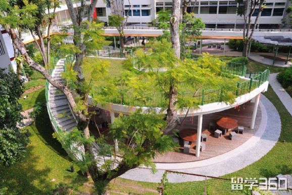 新加坡理工学院学制