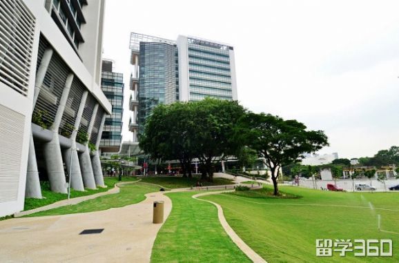 新加坡留学热门专业及名校推荐
