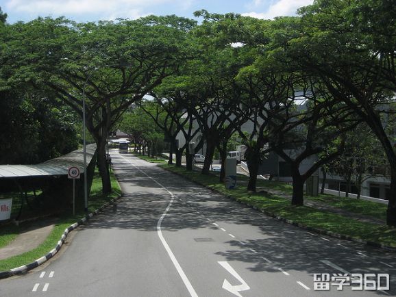 南洋理工大学管理经济学硕士