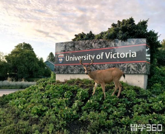 加拿大留学移民之路,从爱德华王子岛大学开始! 加拿大留学移民之路,从爱德华王子岛大学开始!