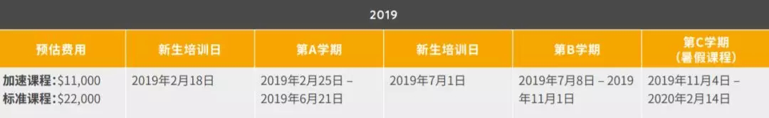 怀卡托大学