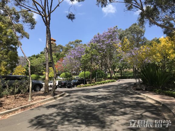 澳洲短期留学项目如何申请?旅游签即可搞定! 澳洲短期留学项目如何申请?旅游签即可搞定!