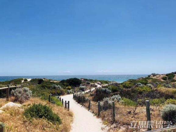 南澳大学申请费