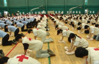 红十字护理大学学院