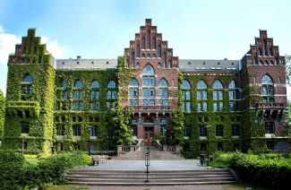 中瑞典大学