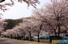韩国留学：金浦大学人文商经学部