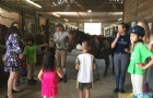 美国圣提茅斯女子中学课外活动