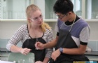 迪克森中学入学要求知多少