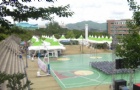 韩国留学：大佛大学本科专业