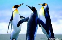 ϷѧԺרҵ