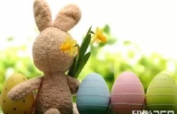 ûȥڰ¿һ