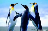 ϷѧԺרҵ