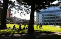 美国旧金山州立大学优势专业介绍