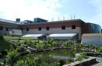 罗杰威廉姆斯大学简介