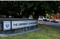 ¿ѧPostgraduate Diploma in Counselling Theory