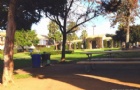国内hr认可雅典州立大学吗