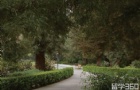 雅典州立大学回国就业前景