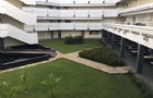 ¼½ƶȽ
