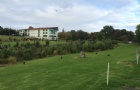2019ѧߵԺУԱȽ 