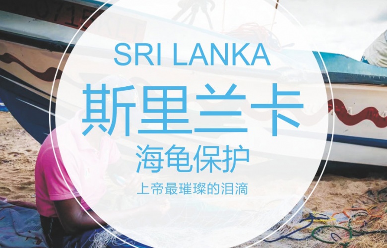 斯里兰卡动物保护项目