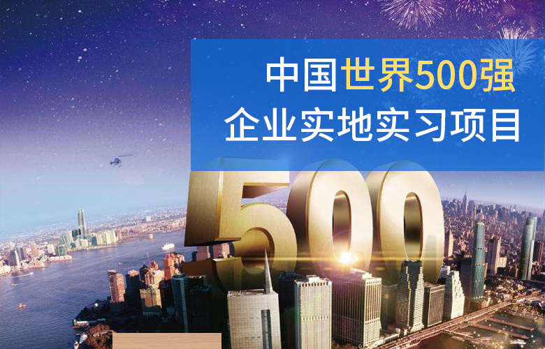 【中国】世界500强 企业实地实习项目