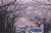 ձʿѧҪ