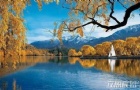 ڸϵаȫע