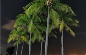 βʶ¼˽ѧУĺû