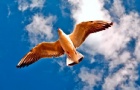 ȥѧǰӦעʲôأ