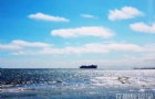 2020ѧ˴УѧԺҪܣ