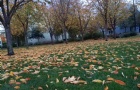 ղأȫ7˶ʿĿ49רҵȫˣ