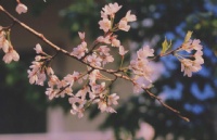 ձѧʱ滮