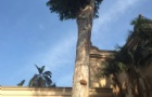 ˽УġС