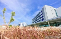 泰国斯坦佛国际大学留学，这些优势你知道？