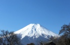 ձѧԲֿʼﵽҪ
