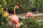 ѧʱЩһҪ