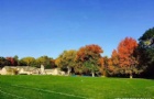 Common App2020-2021뼾Ŀ