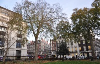 “英国绅士的摇篮”伊顿公学，英式精英教育的核心！