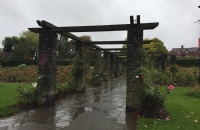 去牛津布鲁克斯大学留学，优势竟然这么多