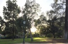 ϢSAT8»ָ