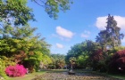 ѧӦ滮
